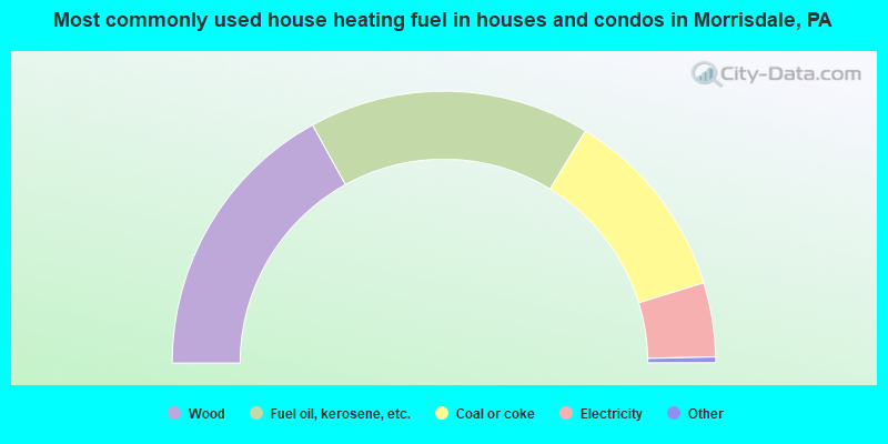 Most commonly used house heating fuel in houses and condos in Morrisdale, PA
