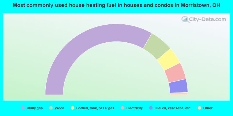 Most commonly used house heating fuel in houses and condos in Morristown, OH
