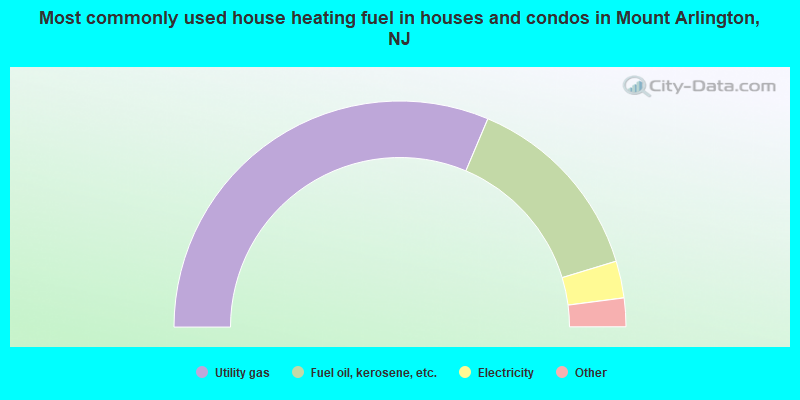 Most commonly used house heating fuel in houses and condos in Mount Arlington, NJ
