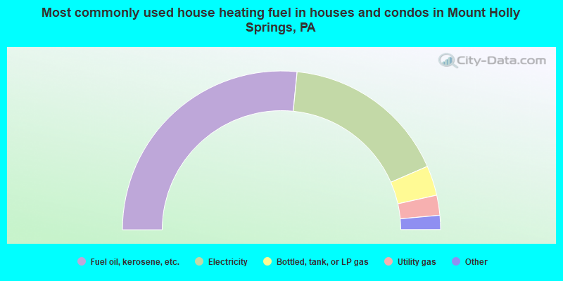 Most commonly used house heating fuel in houses and condos in Mount Holly Springs, PA