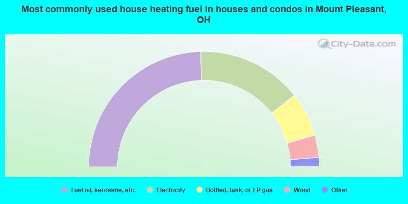 Most commonly used house heating fuel in houses and condos in Mount Pleasant, OH