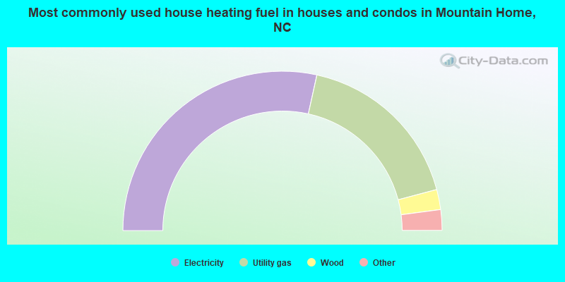 Most commonly used house heating fuel in houses and condos in Mountain Home, NC