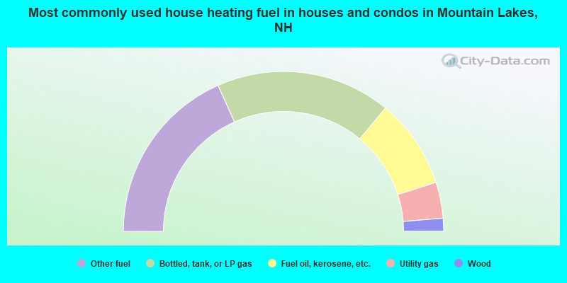 Most commonly used house heating fuel in houses and condos in Mountain Lakes, NH
