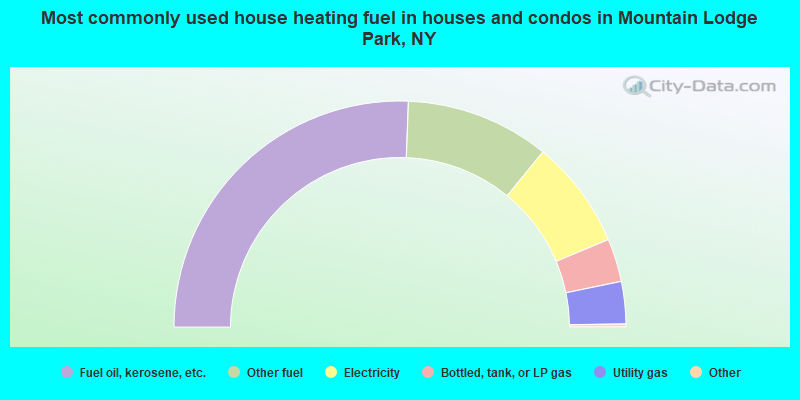 Most commonly used house heating fuel in houses and condos in Mountain Lodge Park, NY