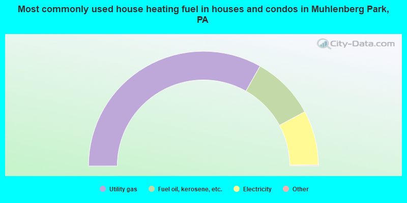 Most commonly used house heating fuel in houses and condos in Muhlenberg Park, PA