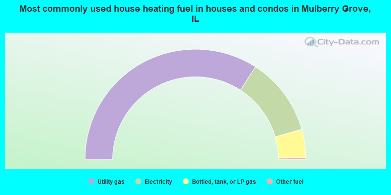 Most commonly used house heating fuel in houses and condos in Mulberry Grove, IL