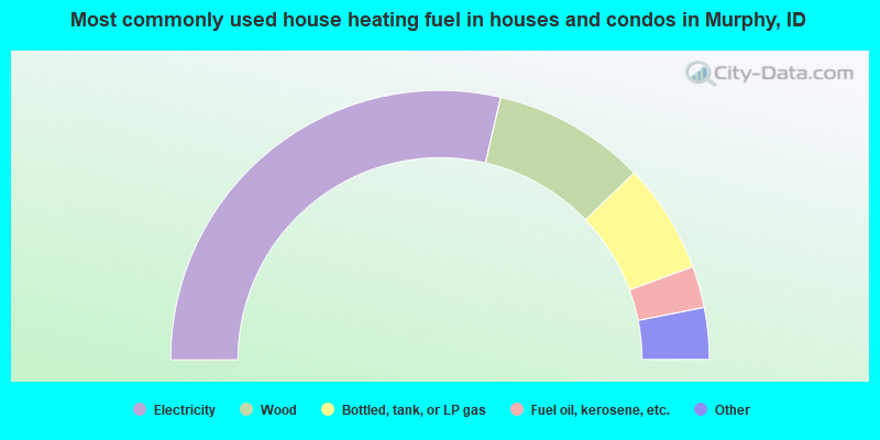 Most commonly used house heating fuel in houses and condos in Murphy, ID