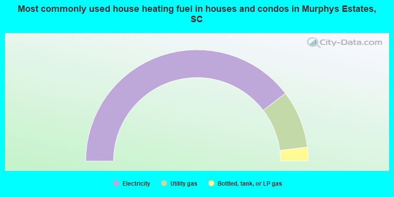 Most commonly used house heating fuel in houses and condos in Murphys Estates, SC