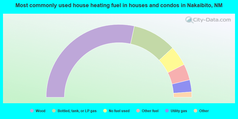 Most commonly used house heating fuel in houses and condos in Nakaibito, NM