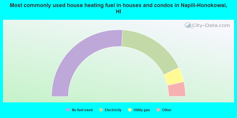 Most commonly used house heating fuel in houses and condos in Napili-Honokowai, HI