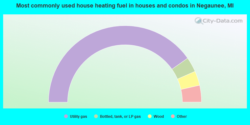 Most commonly used house heating fuel in houses and condos in Negaunee, MI