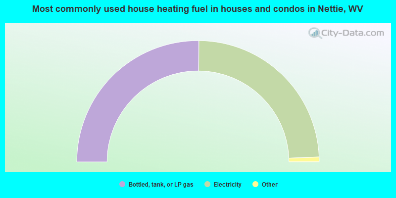 Most commonly used house heating fuel in houses and condos in Nettie, WV