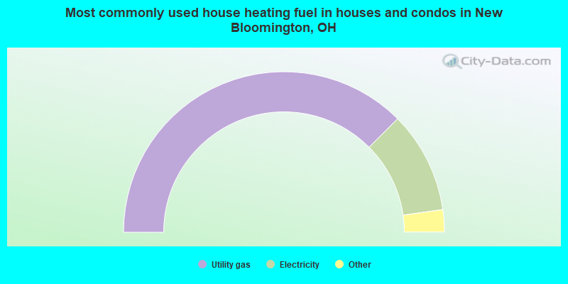 Most commonly used house heating fuel in houses and condos in New Bloomington, OH