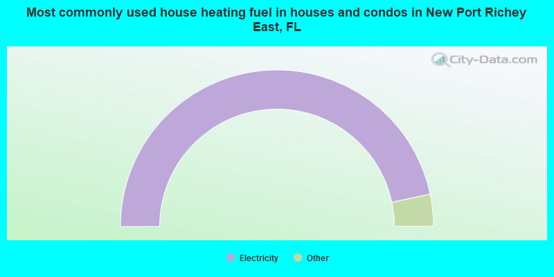 Most commonly used house heating fuel in houses and condos in New Port Richey East, FL