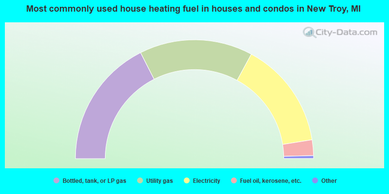 Most commonly used house heating fuel in houses and condos in New Troy, MI