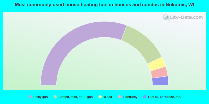 Most commonly used house heating fuel in houses and condos in Nokomis, WI