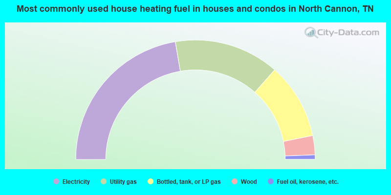 Most commonly used house heating fuel in houses and condos in North Cannon, TN
