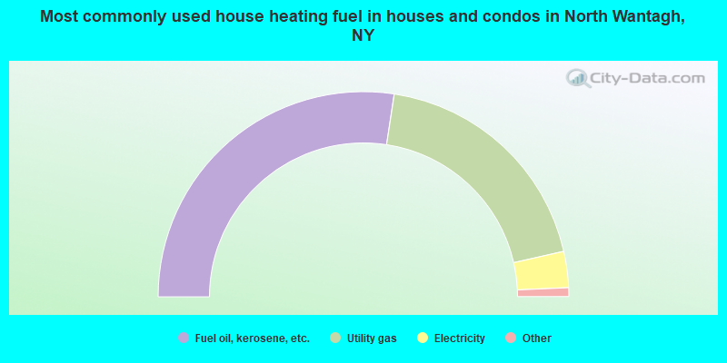 Most commonly used house heating fuel in houses and condos in North Wantagh, NY