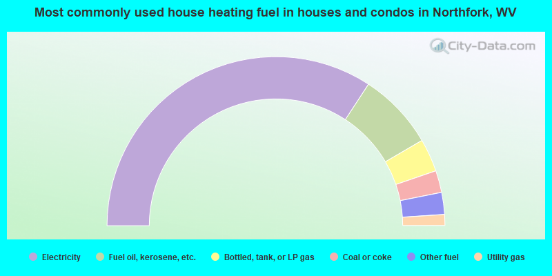 Most commonly used house heating fuel in houses and condos in Northfork, WV