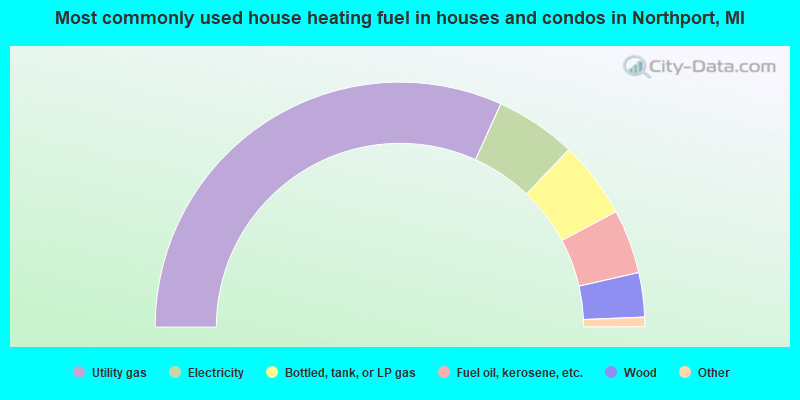 Most commonly used house heating fuel in houses and condos in Northport, MI