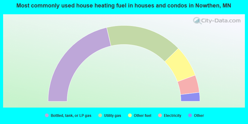 Most commonly used house heating fuel in houses and condos in Nowthen, MN