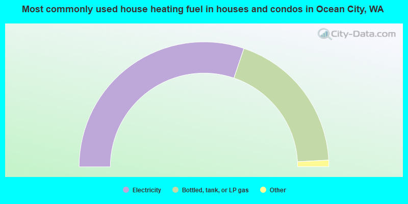 Most commonly used house heating fuel in houses and condos in Ocean City, WA