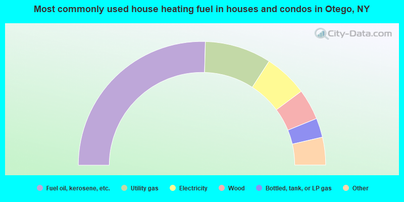 Most commonly used house heating fuel in houses and condos in Otego, NY