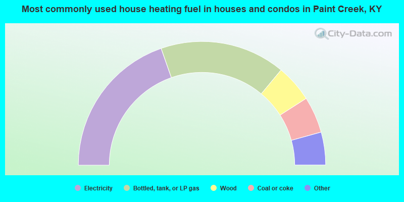 Most commonly used house heating fuel in houses and condos in Paint Creek, KY