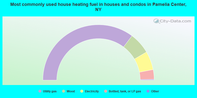 Most commonly used house heating fuel in houses and condos in Pamelia Center, NY