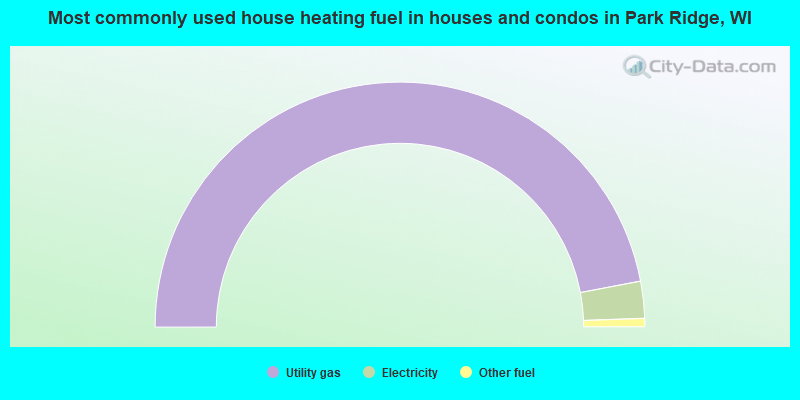 Most commonly used house heating fuel in houses and condos in Park Ridge, WI