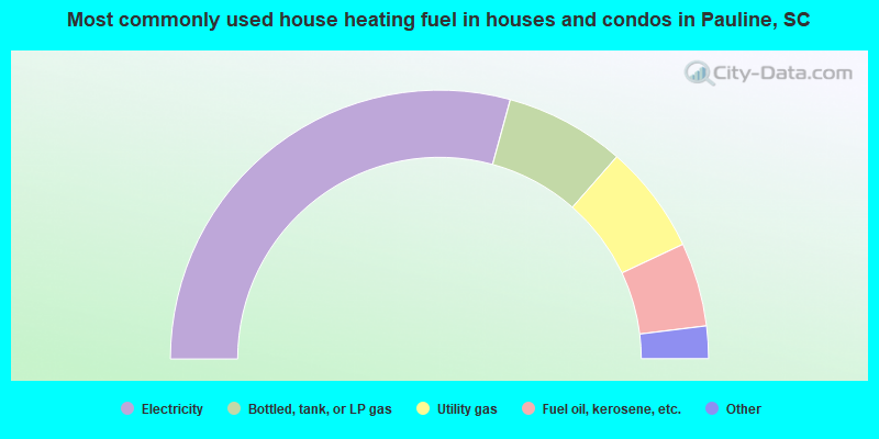 Most commonly used house heating fuel in houses and condos in Pauline, SC