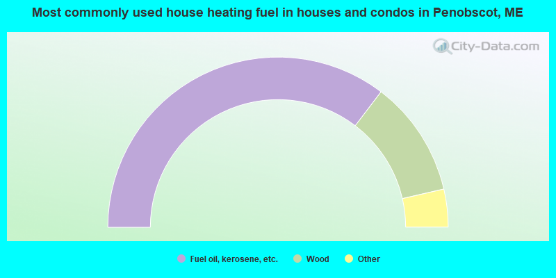 Most commonly used house heating fuel in houses and condos in Penobscot, ME