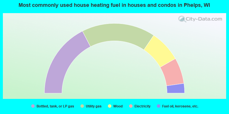 Most commonly used house heating fuel in houses and condos in Phelps, WI