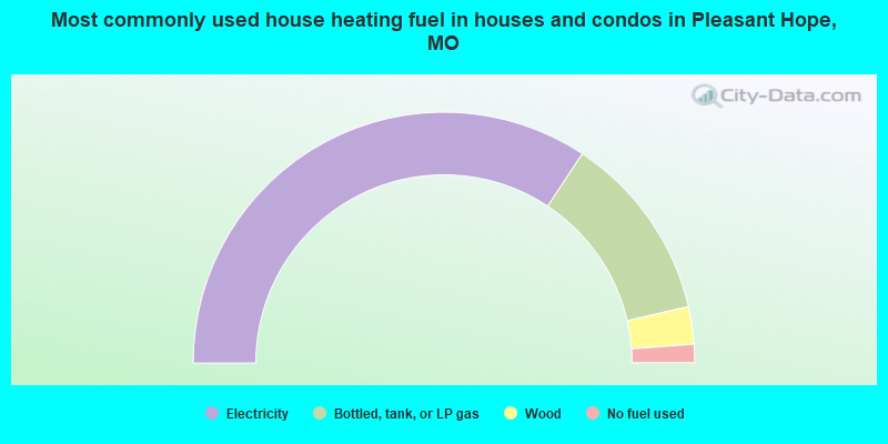 Most commonly used house heating fuel in houses and condos in Pleasant Hope, MO
