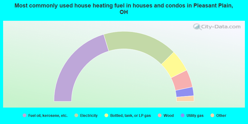 Most commonly used house heating fuel in houses and condos in Pleasant Plain, OH