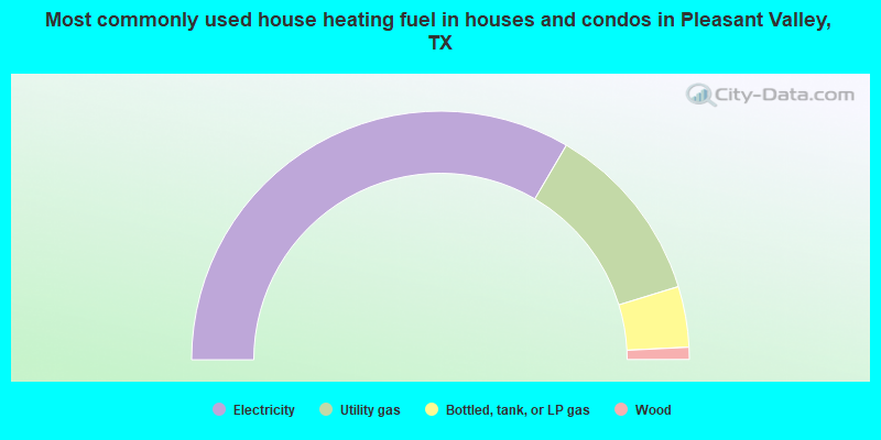 Most commonly used house heating fuel in houses and condos in Pleasant Valley, TX
