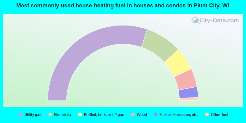 Most commonly used house heating fuel in houses and condos in Plum City, WI