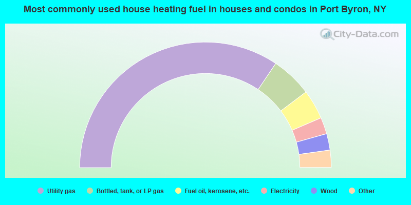 Most commonly used house heating fuel in houses and condos in Port Byron, NY