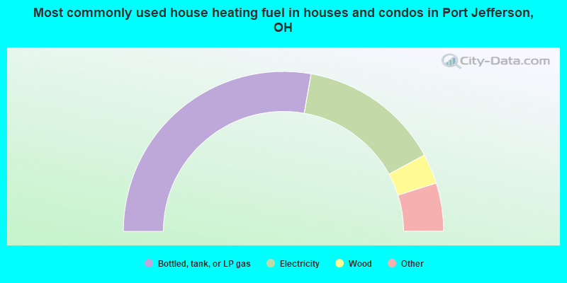 Most commonly used house heating fuel in houses and condos in Port Jefferson, OH
