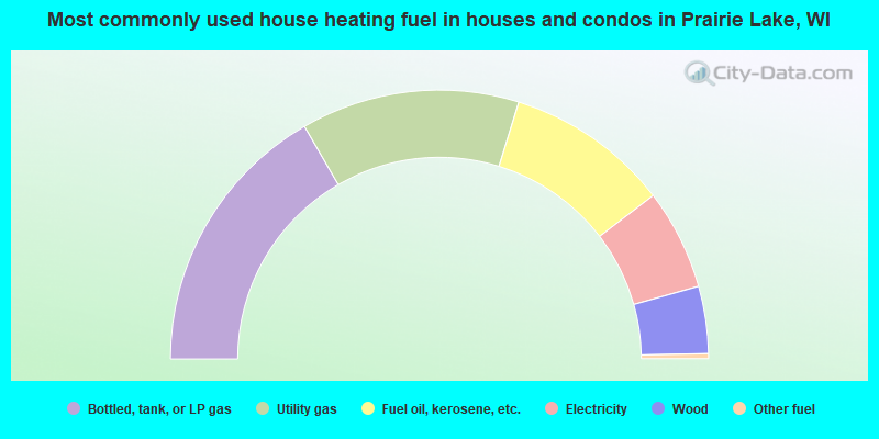 Most commonly used house heating fuel in houses and condos in Prairie Lake, WI