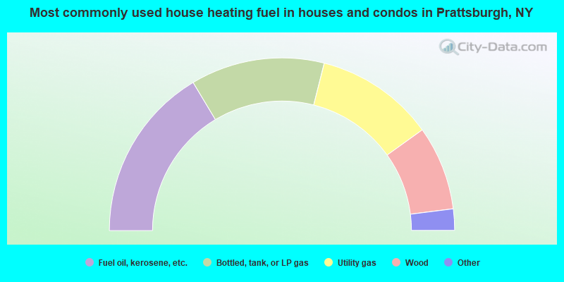 Most commonly used house heating fuel in houses and condos in Prattsburgh, NY