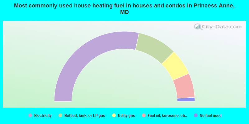 Most commonly used house heating fuel in houses and condos in Princess Anne, MD