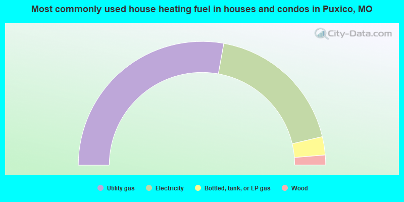 Most commonly used house heating fuel in houses and condos in Puxico, MO