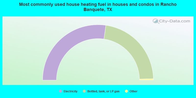 Most commonly used house heating fuel in houses and condos in Rancho Banquete, TX