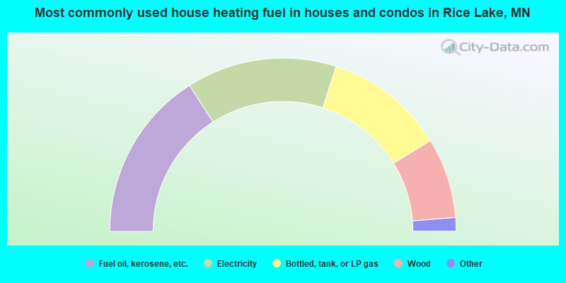 Most commonly used house heating fuel in houses and condos in Rice Lake, MN