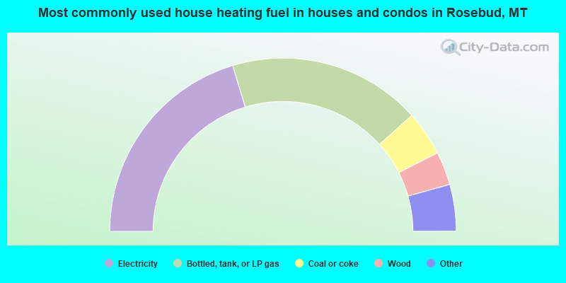 Most commonly used house heating fuel in houses and condos in Rosebud, MT