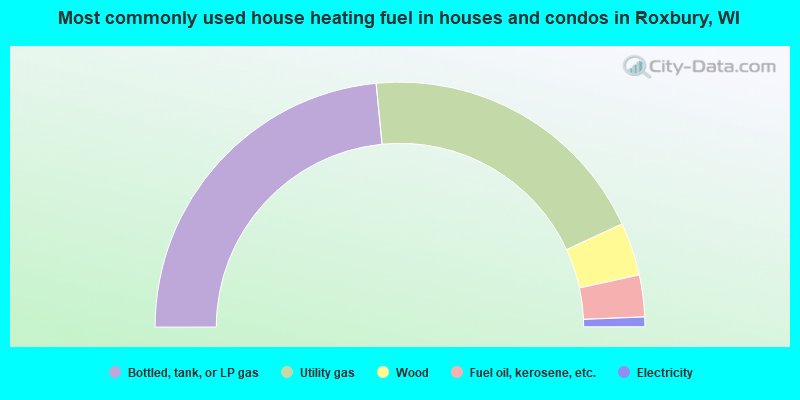 Most commonly used house heating fuel in houses and condos in Roxbury, WI