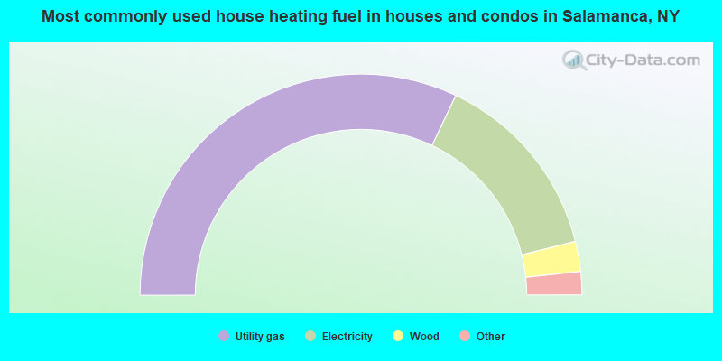 Most commonly used house heating fuel in houses and condos in Salamanca, NY