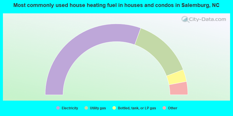 Most commonly used house heating fuel in houses and condos in Salemburg, NC