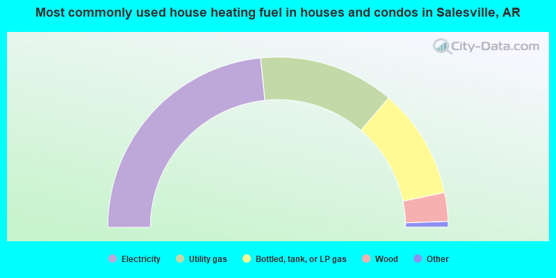 Most commonly used house heating fuel in houses and condos in Salesville, AR